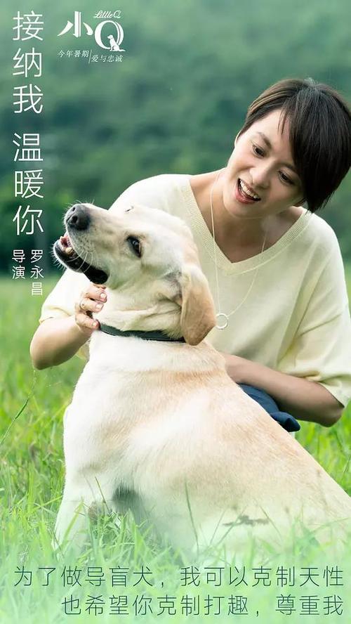 办理西方学院学信网